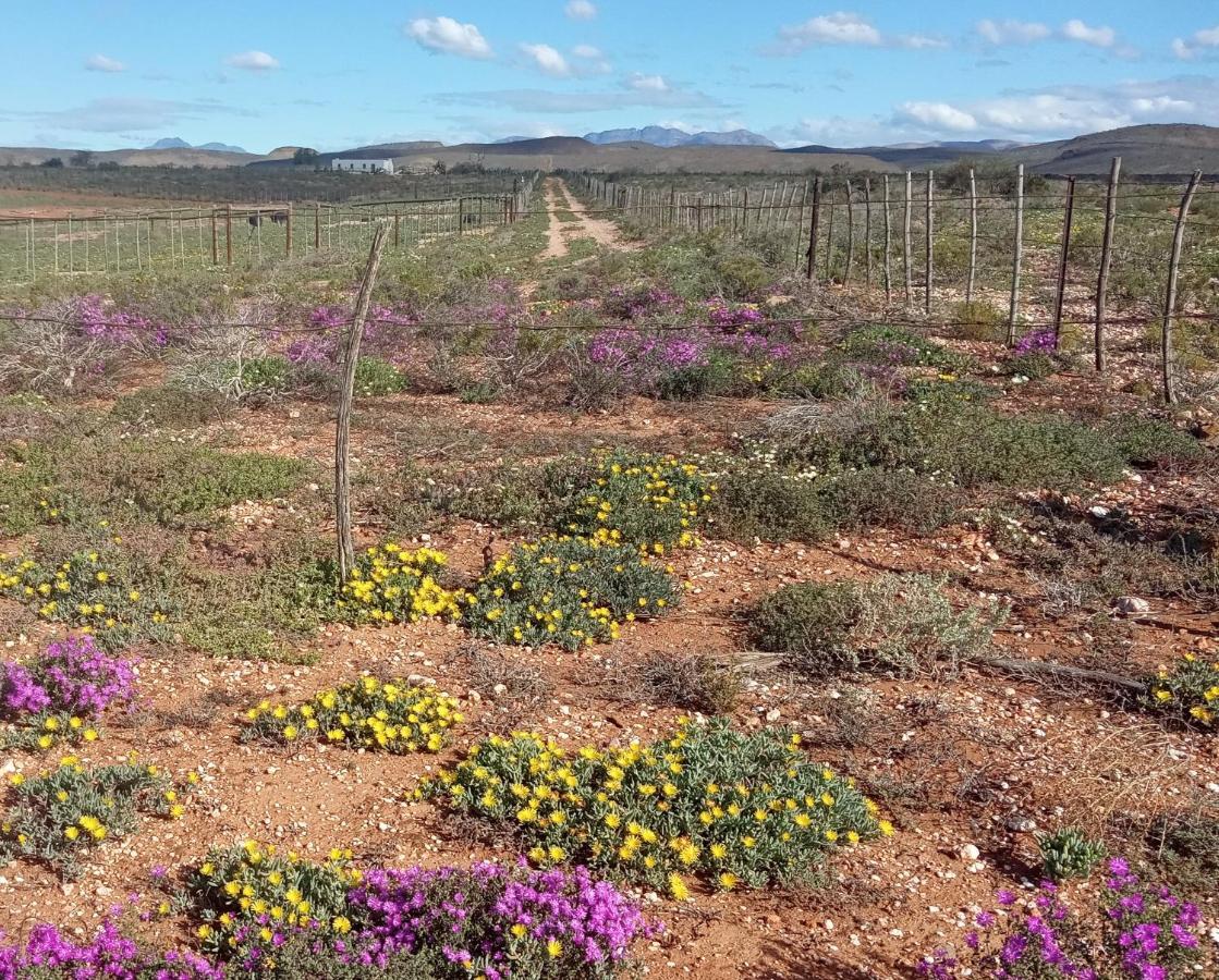 Apartamento Pureplaas Self Catering Volmoed Oudtshoorn Klein Karoo Exterior foto