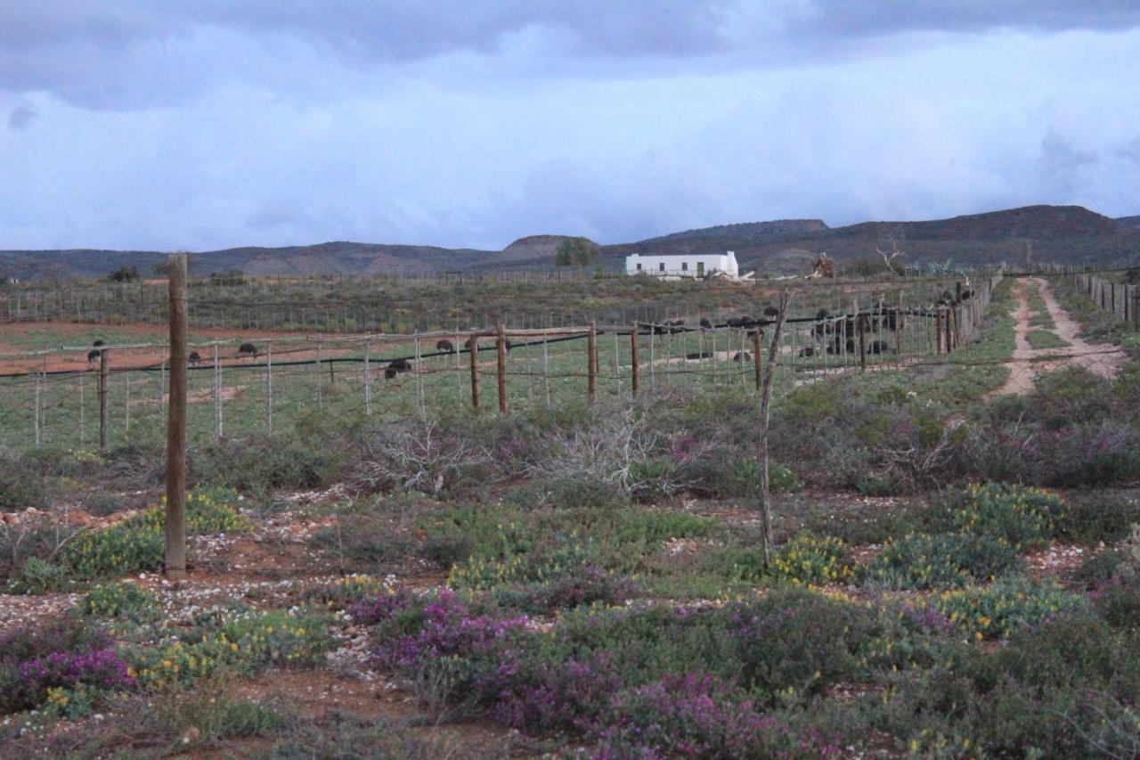 Apartamento Pureplaas Self Catering Volmoed Oudtshoorn Klein Karoo Exterior foto